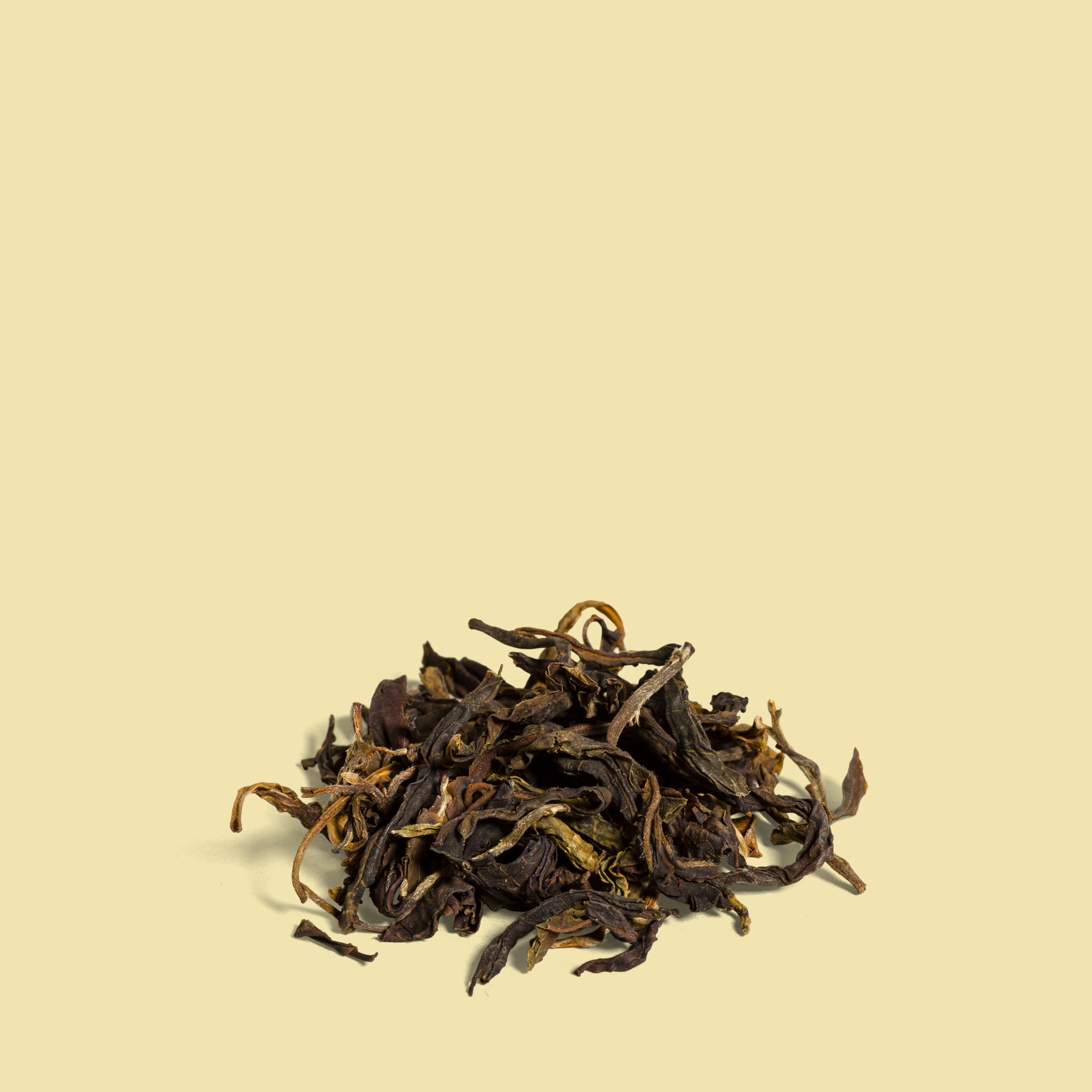 Thé Oolong Jungle - 5 sachets de thé