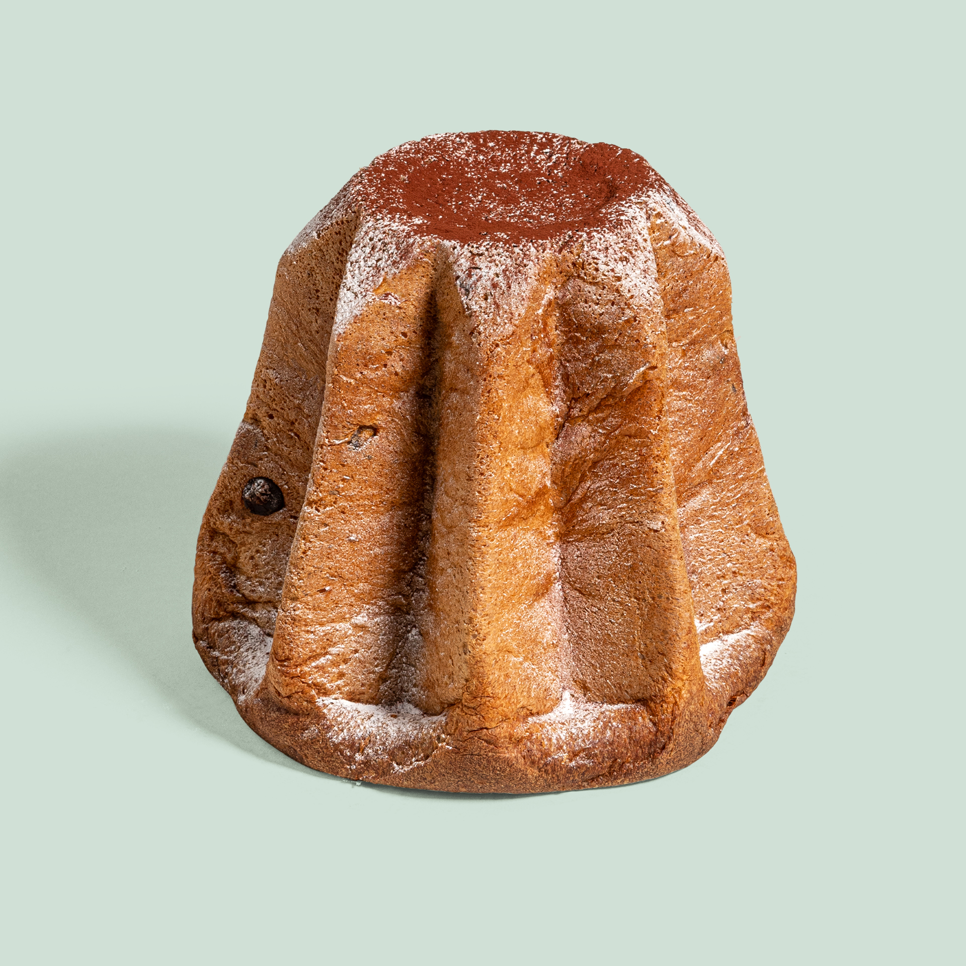 Schokoladen-Pandoro 1 kg