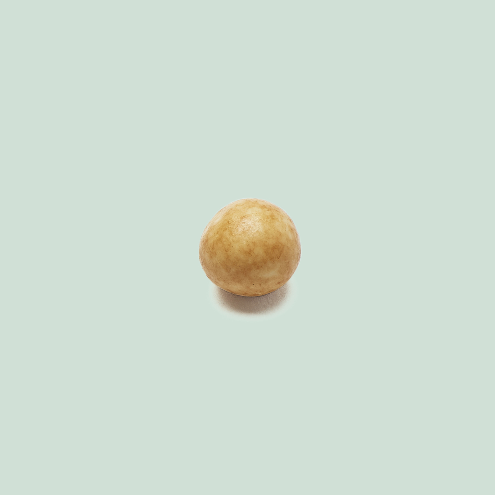 Nocciole 100 gr