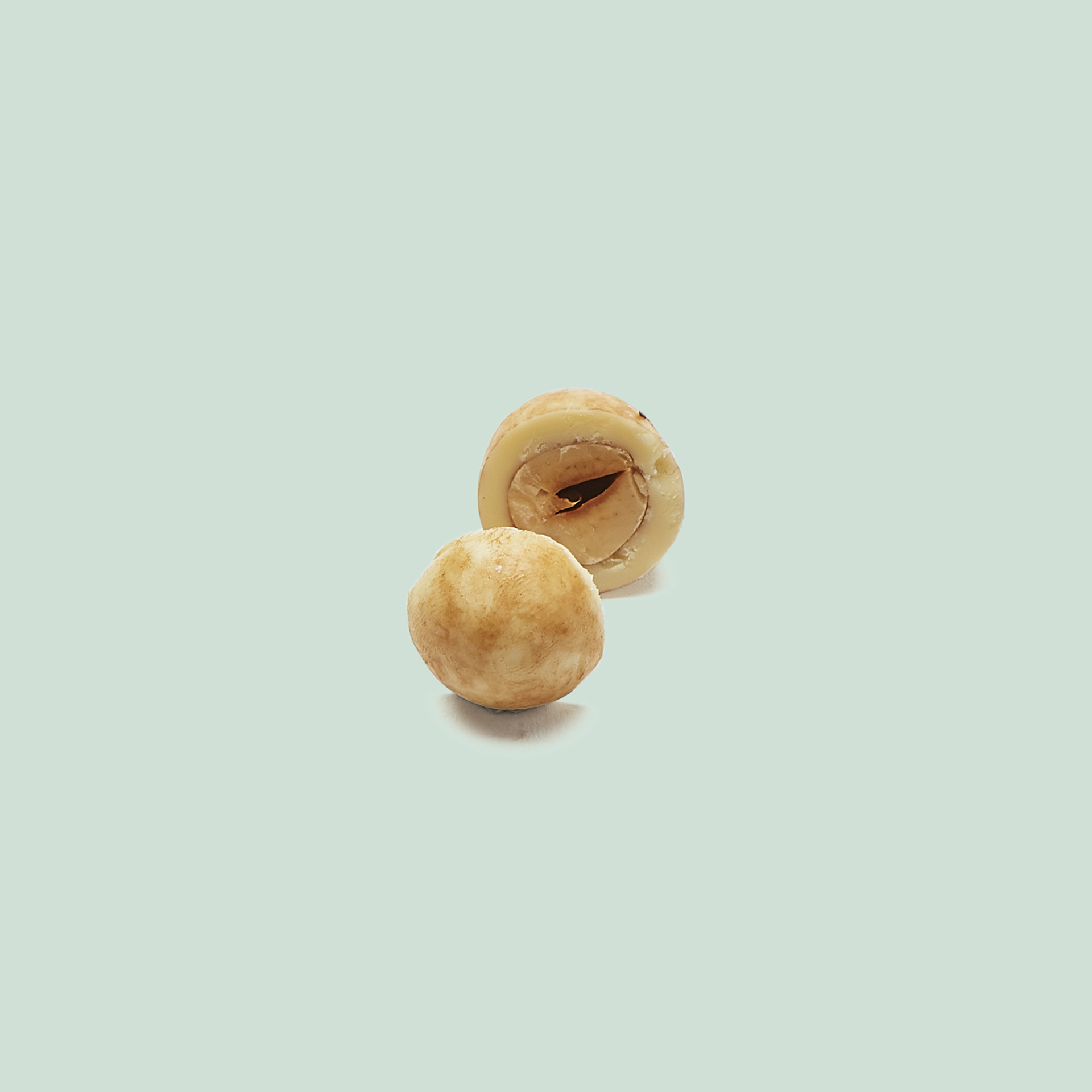 Nocciole 100 gr